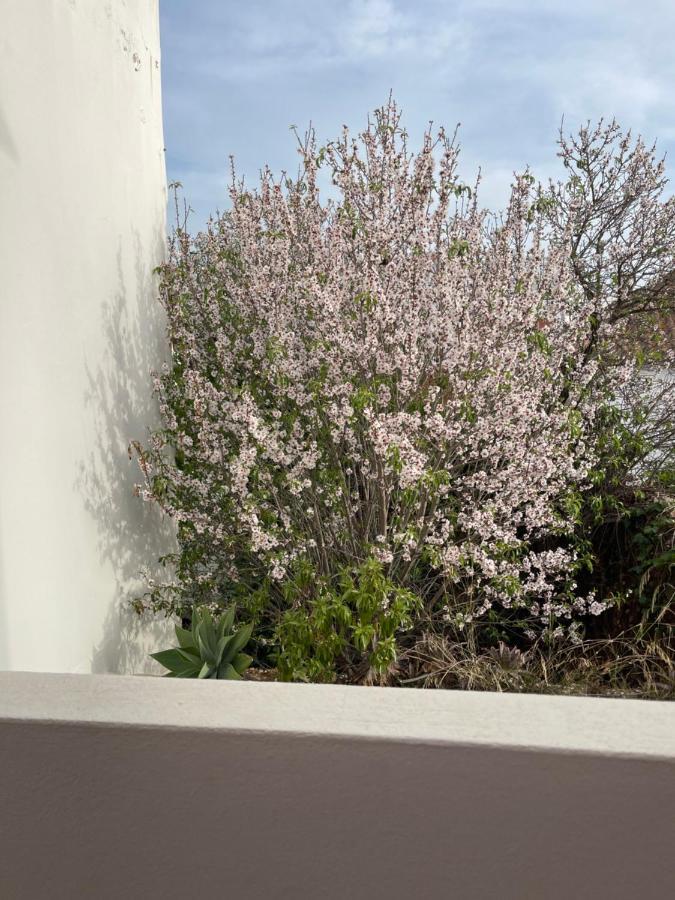 Casa Da Aldeia - Guest House Odiáxere Buitenkant foto